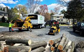 Best Tree Trimming and Pruning  in Graton, CA